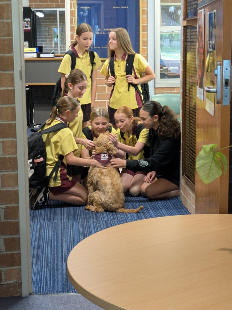 6 female students crowding around the school support dog Benny