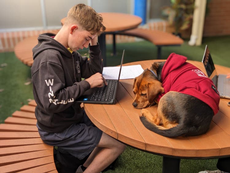 A person sitting at a table with a computer and a dog
